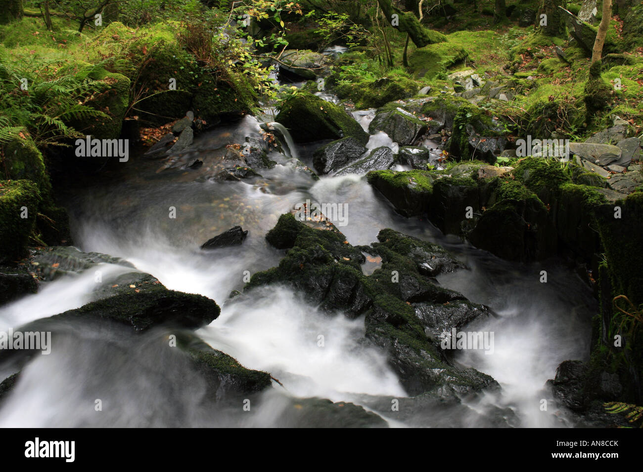 Woodland waterfall hi-res stock photography and images - Alamy