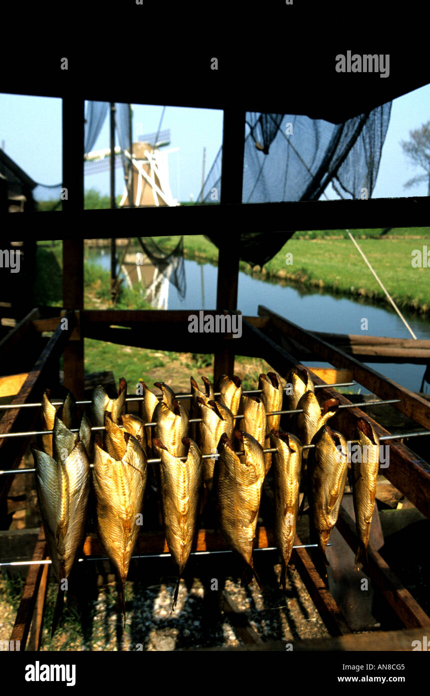 Smoking fish eel herring Zuiderzee Museum, Enkhuizen, Dutch museum