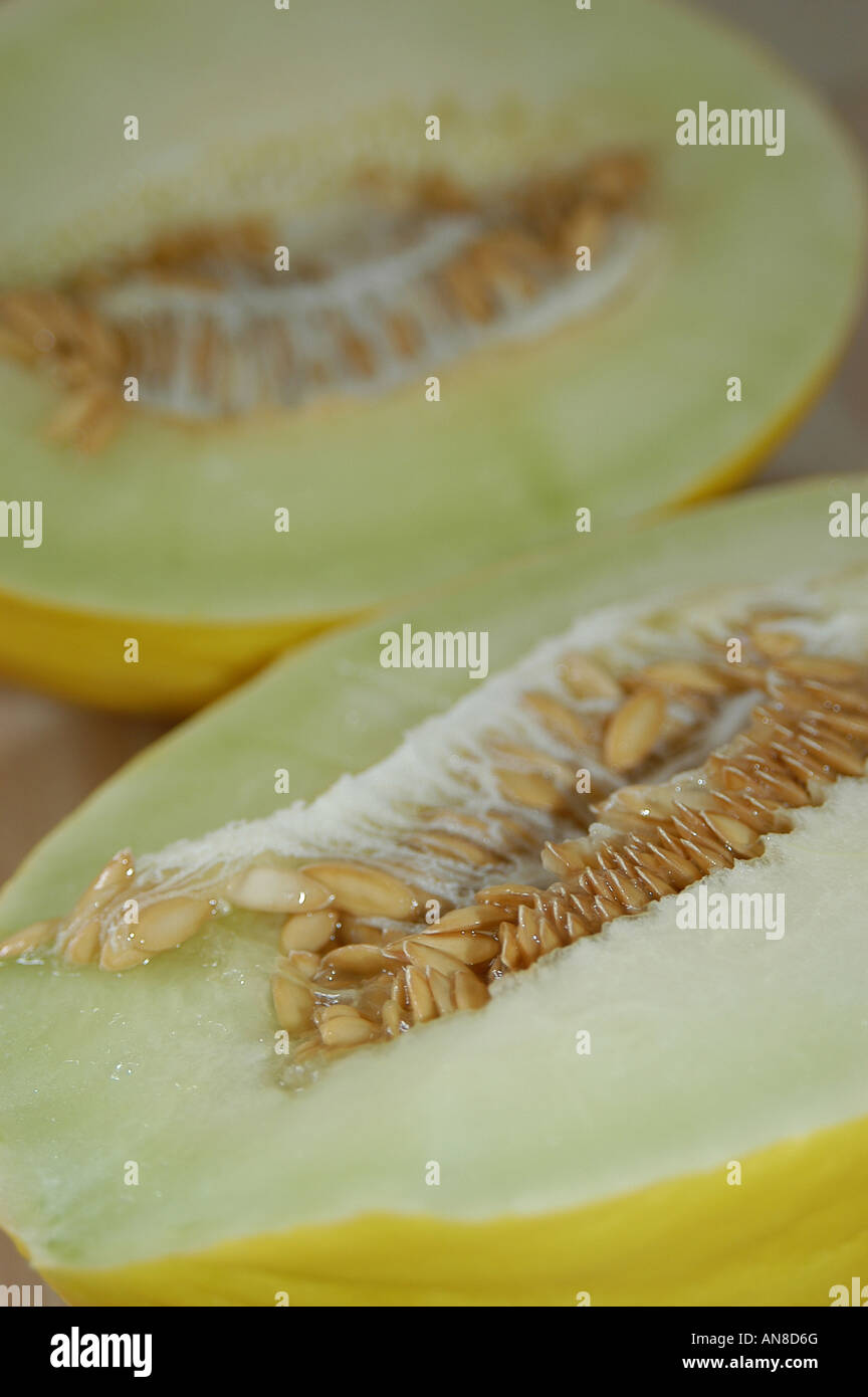 Honeydew Melon (Cucumis melo var. Inodorus) Stock Photo