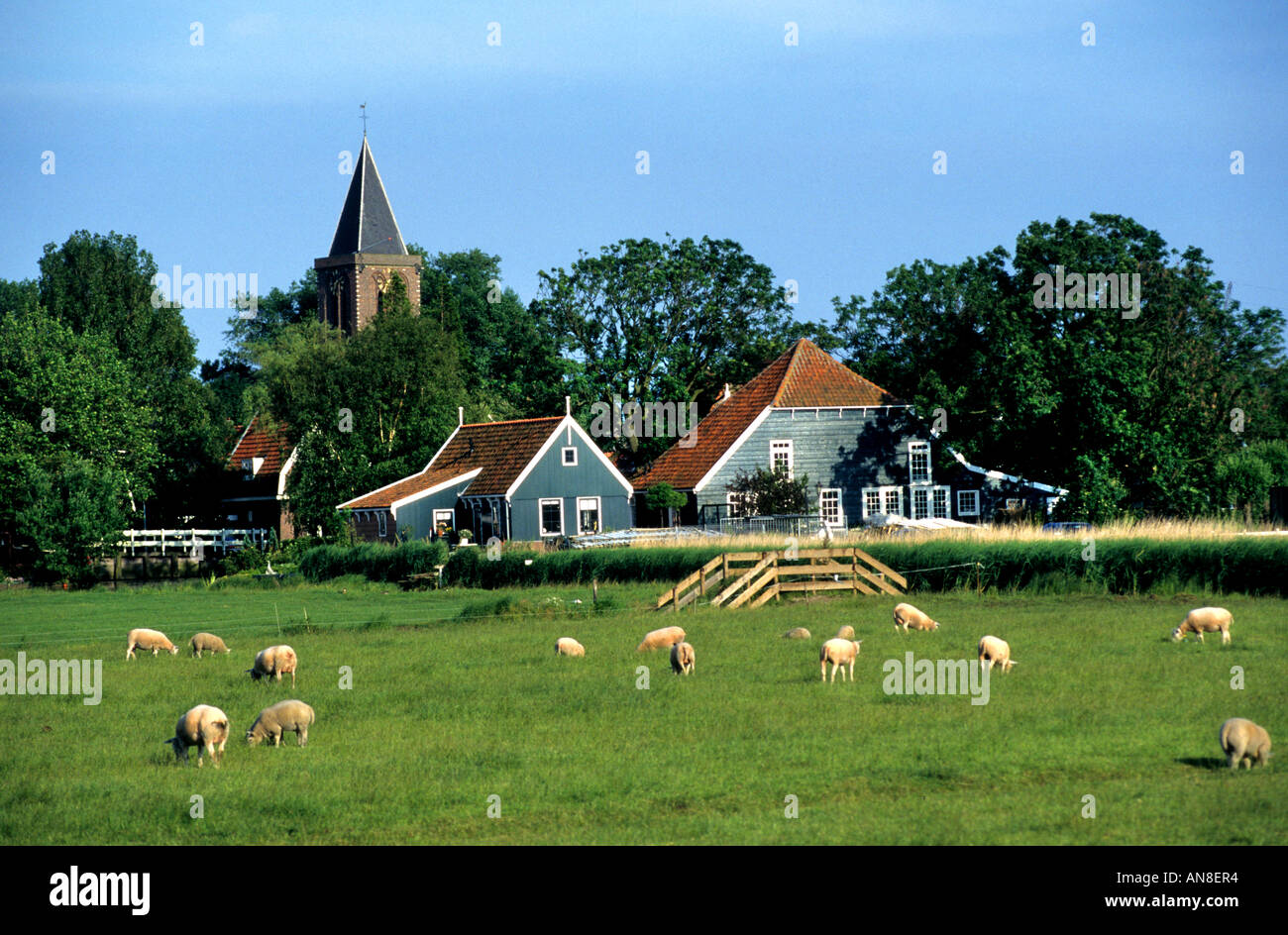 Noord Holland North Holland Sheep Monument Historic Architecture Broek in  Waterland Watergang Stock Photo - Alamy