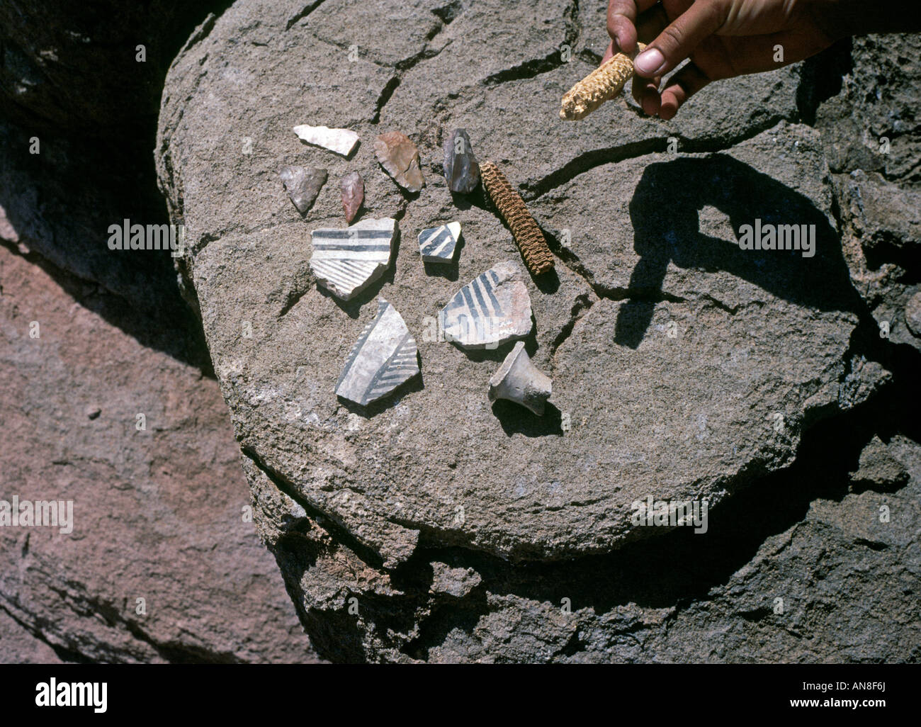 A collection of Anasazi arrowheads pottery and corn cobs found by white water rafters floating the inner gorge of Cataract Canyo Stock Photo