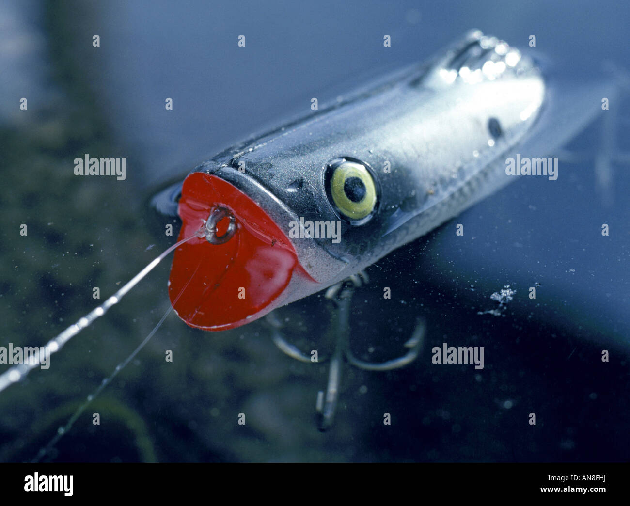 Detail of a wooden bass fishing plug or crankbait used mainly to catch