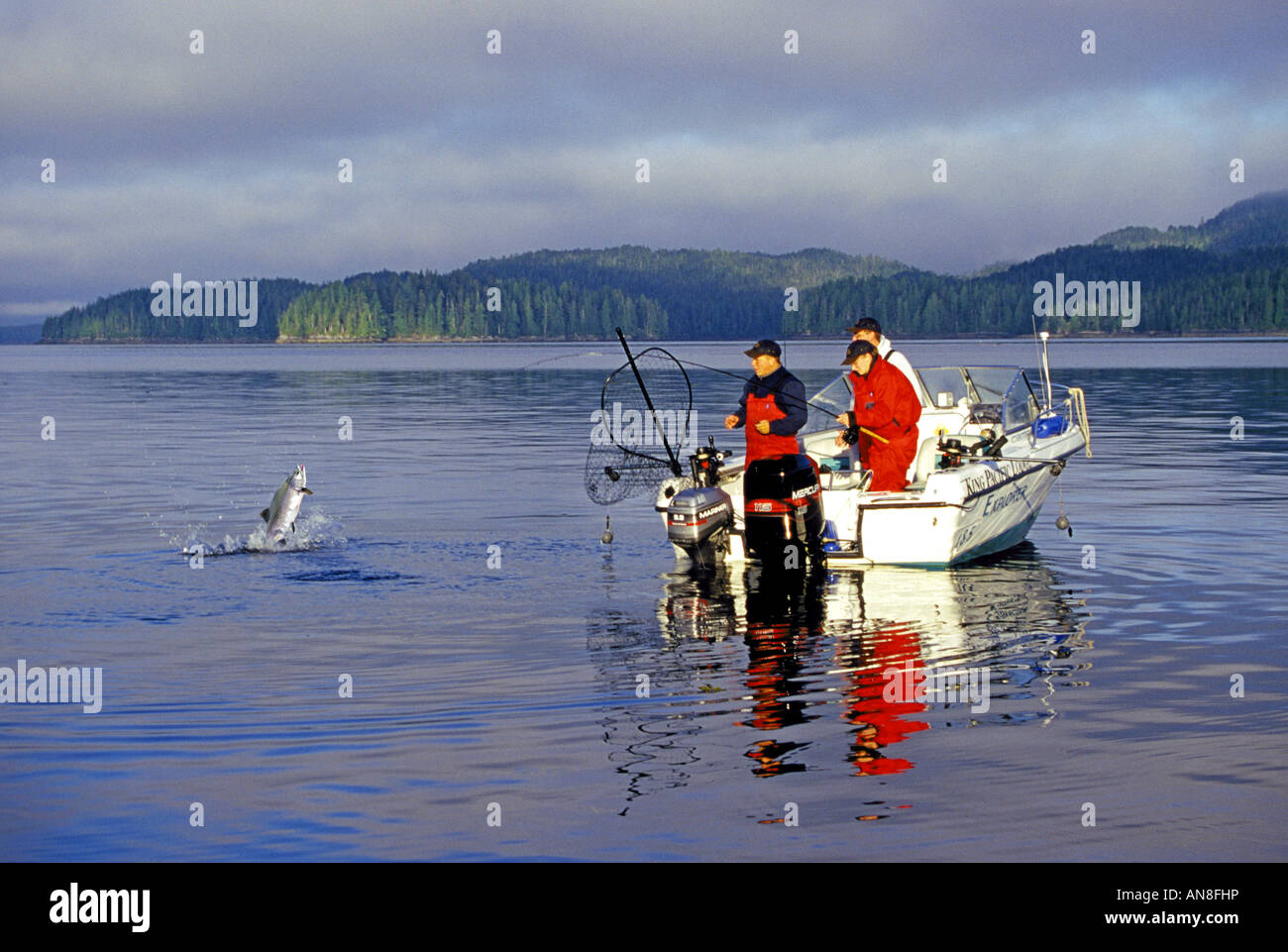 Salmon fisherman play a large pink salmon from their boat in the Inside Passage along the western coast of British Columbia Stock Photo