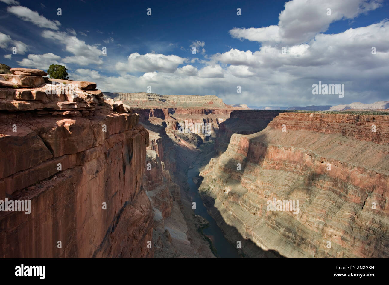 Grand canyon toroweap overlook Stock Photo - Alamy