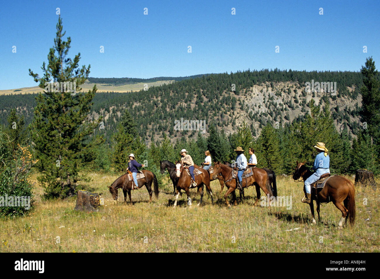 Horseback riding Echo Valley Ranch & Spa, Clinton, British Columbia Canada Stock Photo