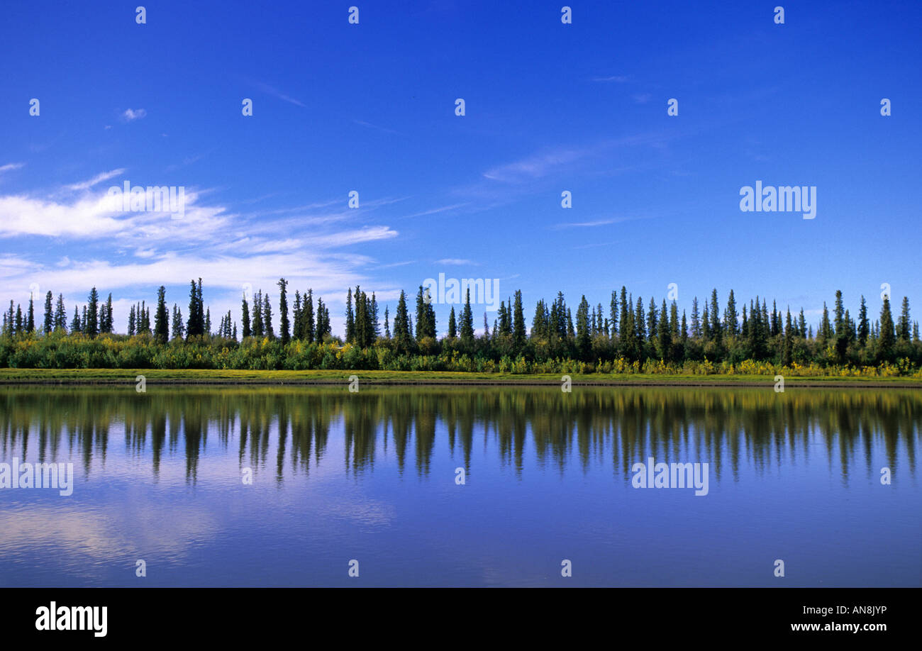 Tundra lake amid taiga boreal forest northwest territories Canada Stock ...