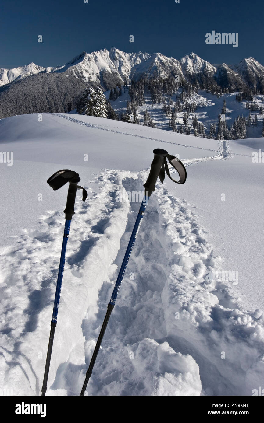Person snowshoeing in Mt. Baker wilderness backcountry Stock Photo Alamy