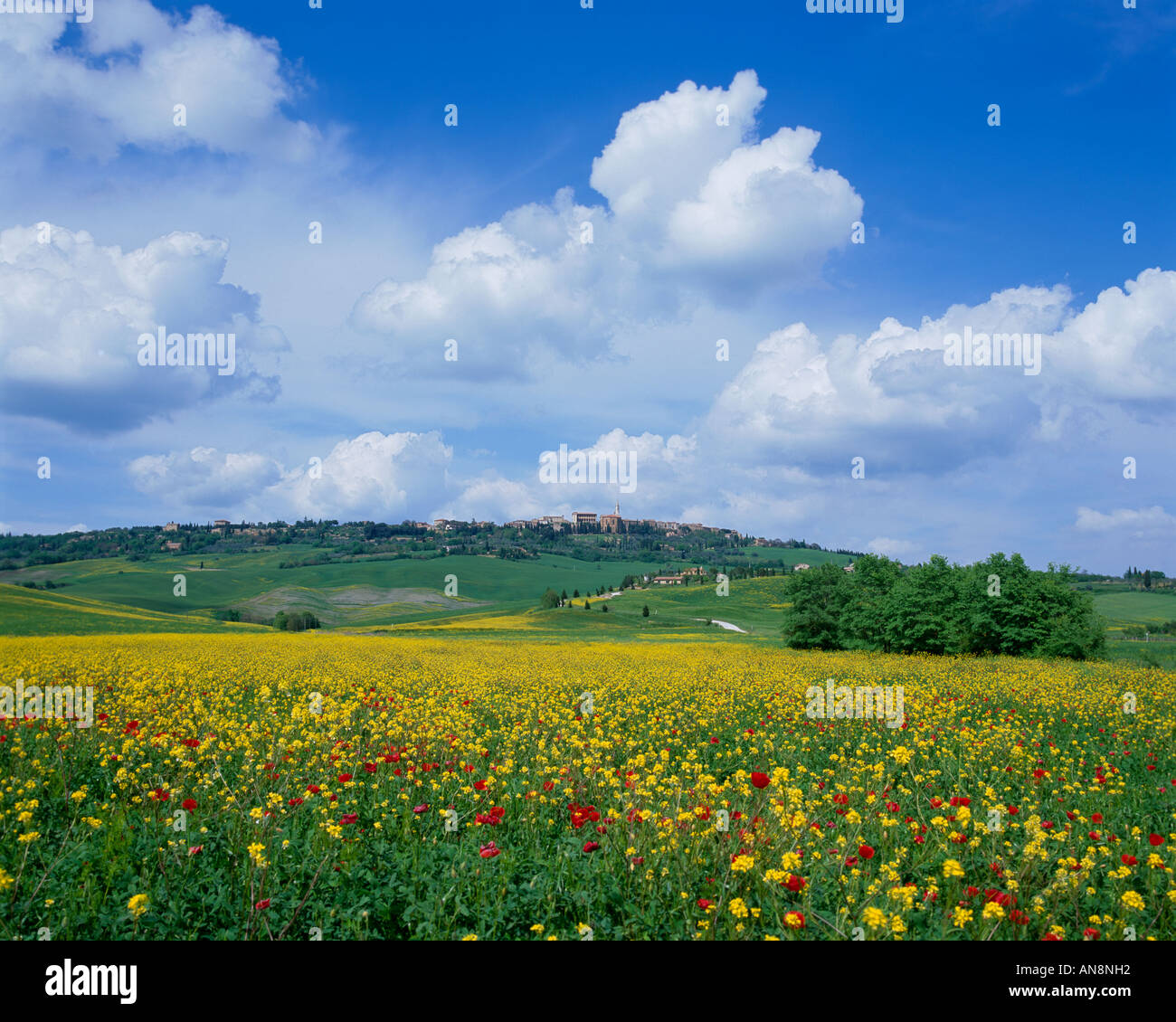 Tuscan Countryside With Poppies High Resolution Stock Photography and ...