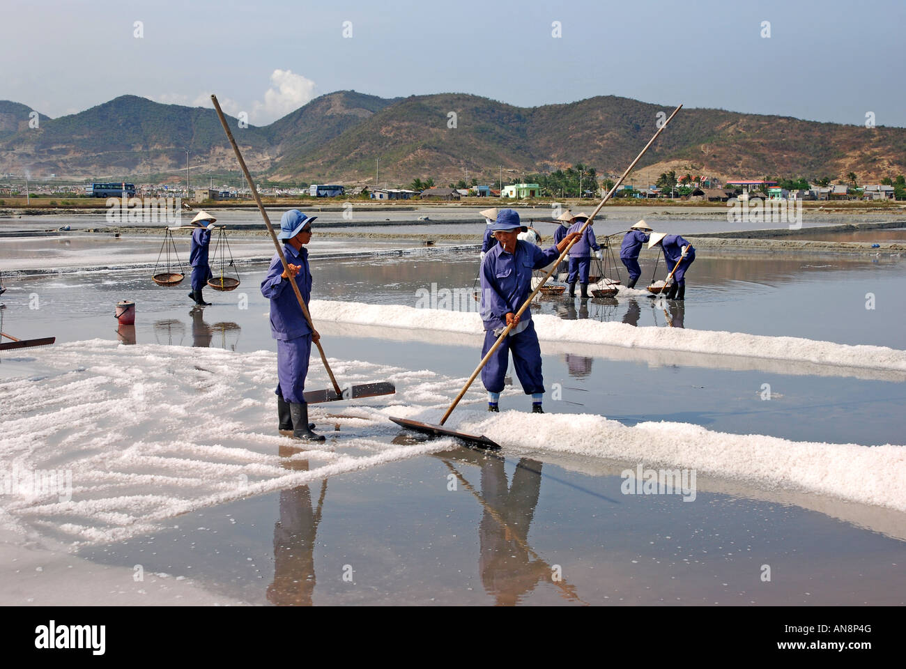Vietnam sea salt sun dried ebb tide flood flow hires stock photography