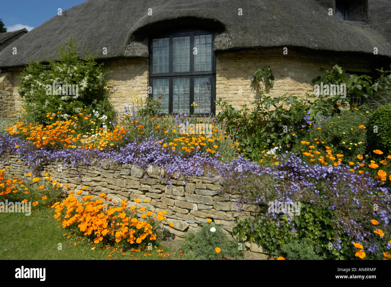 An English summer scene of flowers in full bloom in the garden of a