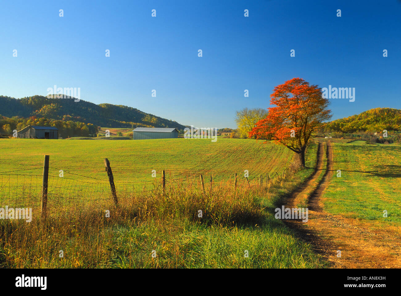 Farm Lane In Field, Madison County, Virginia, USA Stock Photo Alamy