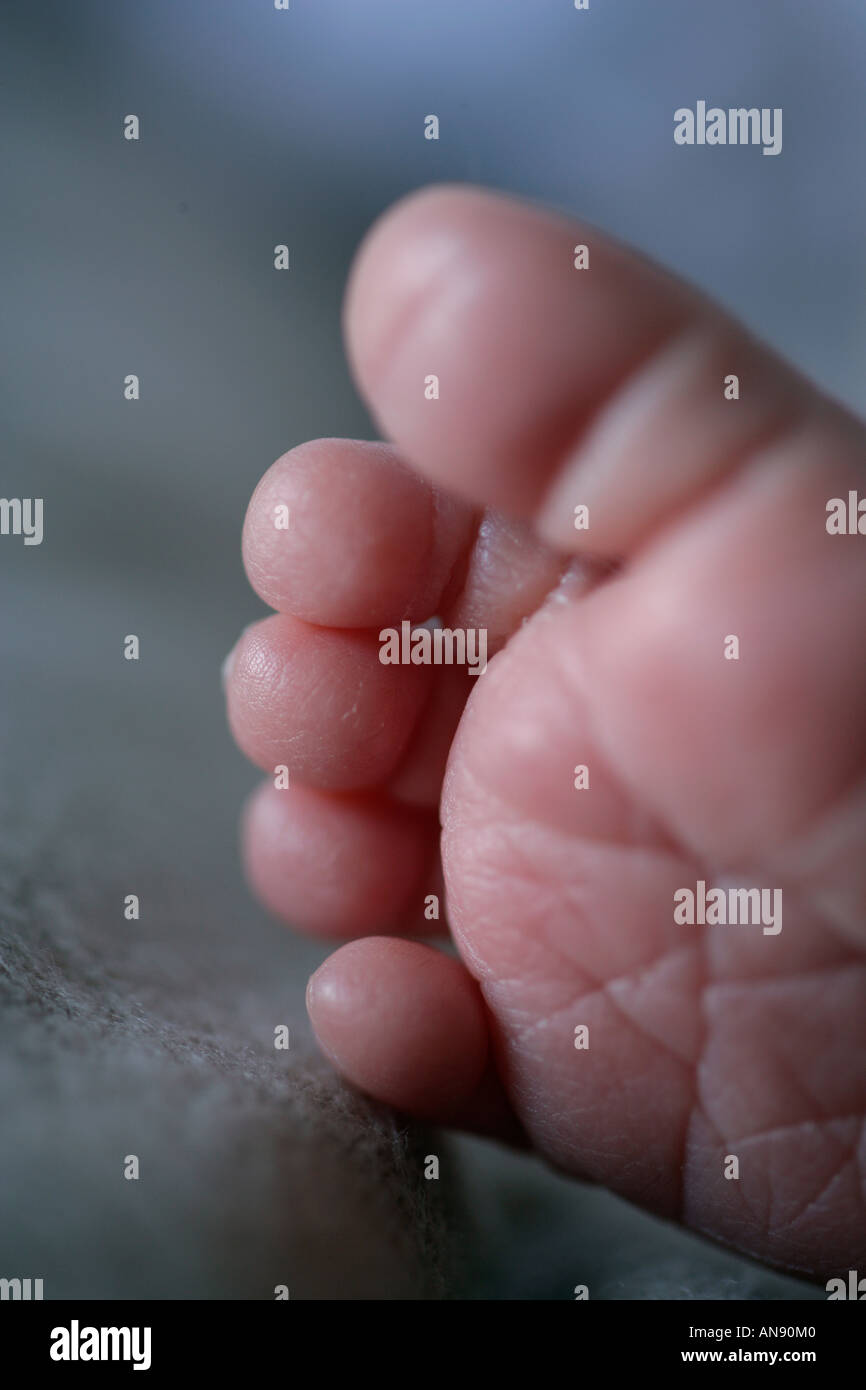A newborn babys toes Stock Photo - Alamy