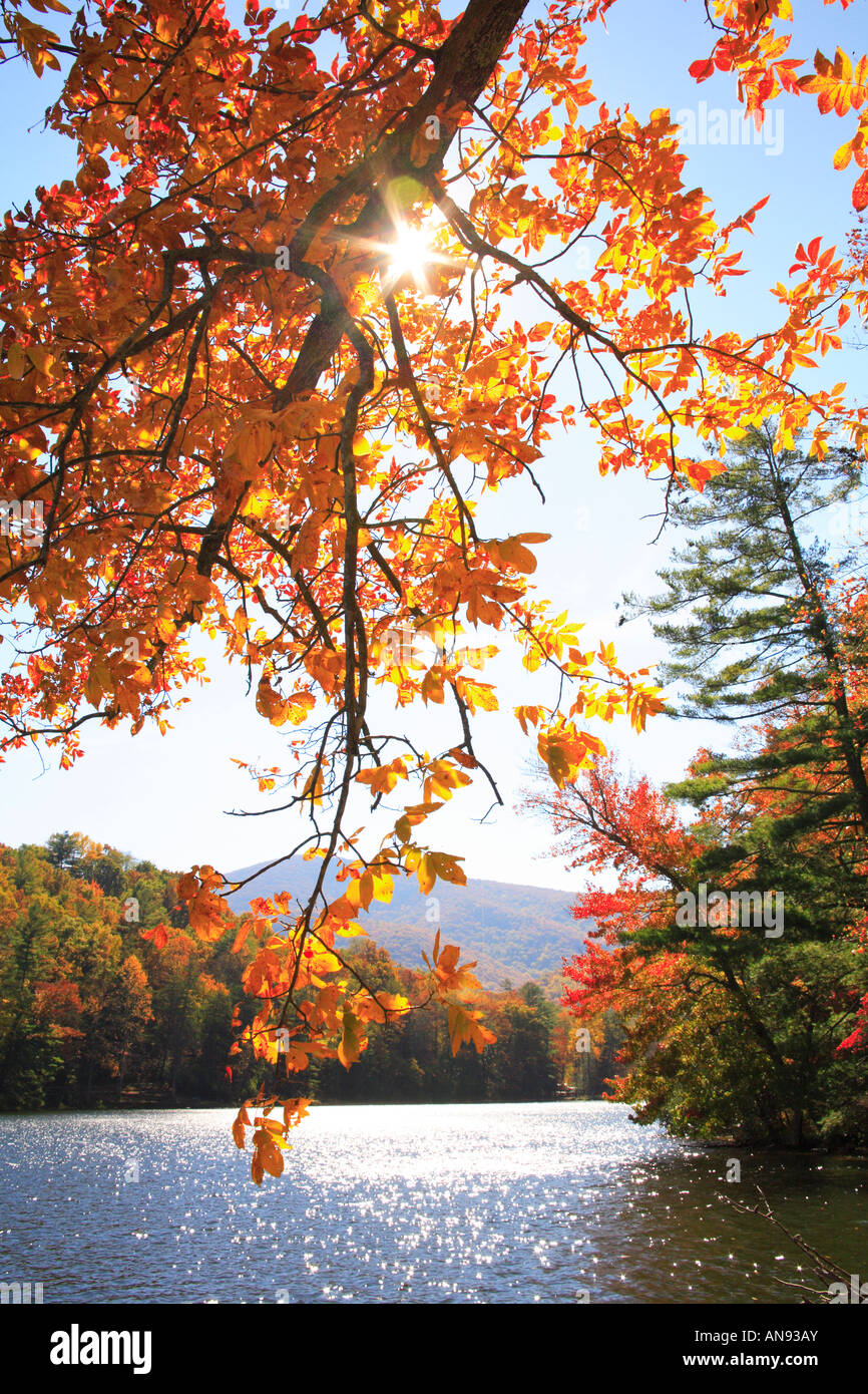 Visit Blairsville GA - Blairsville's fall breeze and autumn colors