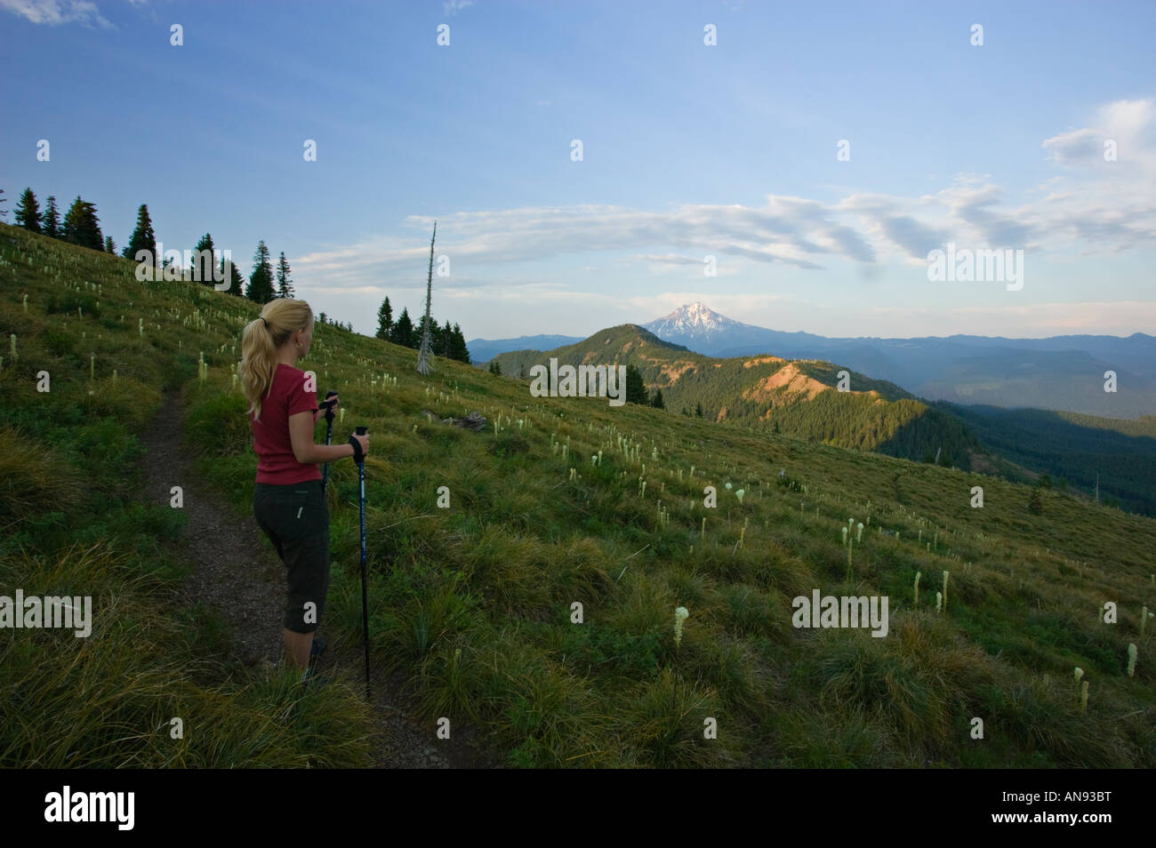 Female hiker wildflowers hi-res stock photography and images - Alamy