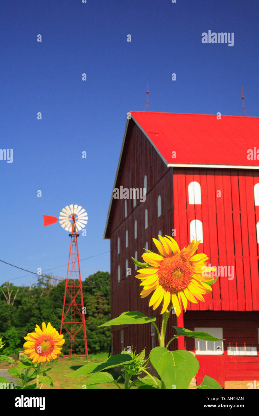 Sugarloaf Mountain Winery, Comus, Maryland, USA Stock Photo Alamy