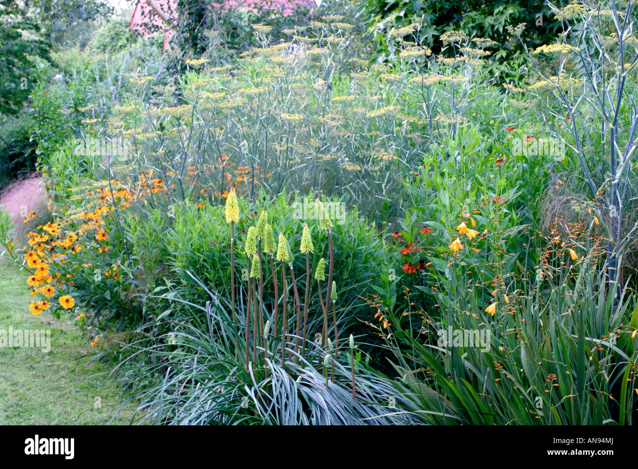 The hot border at Holbrook Garden, Devon during August with Kniphofia, Bronze fennel and Heleniums Stock Photo
