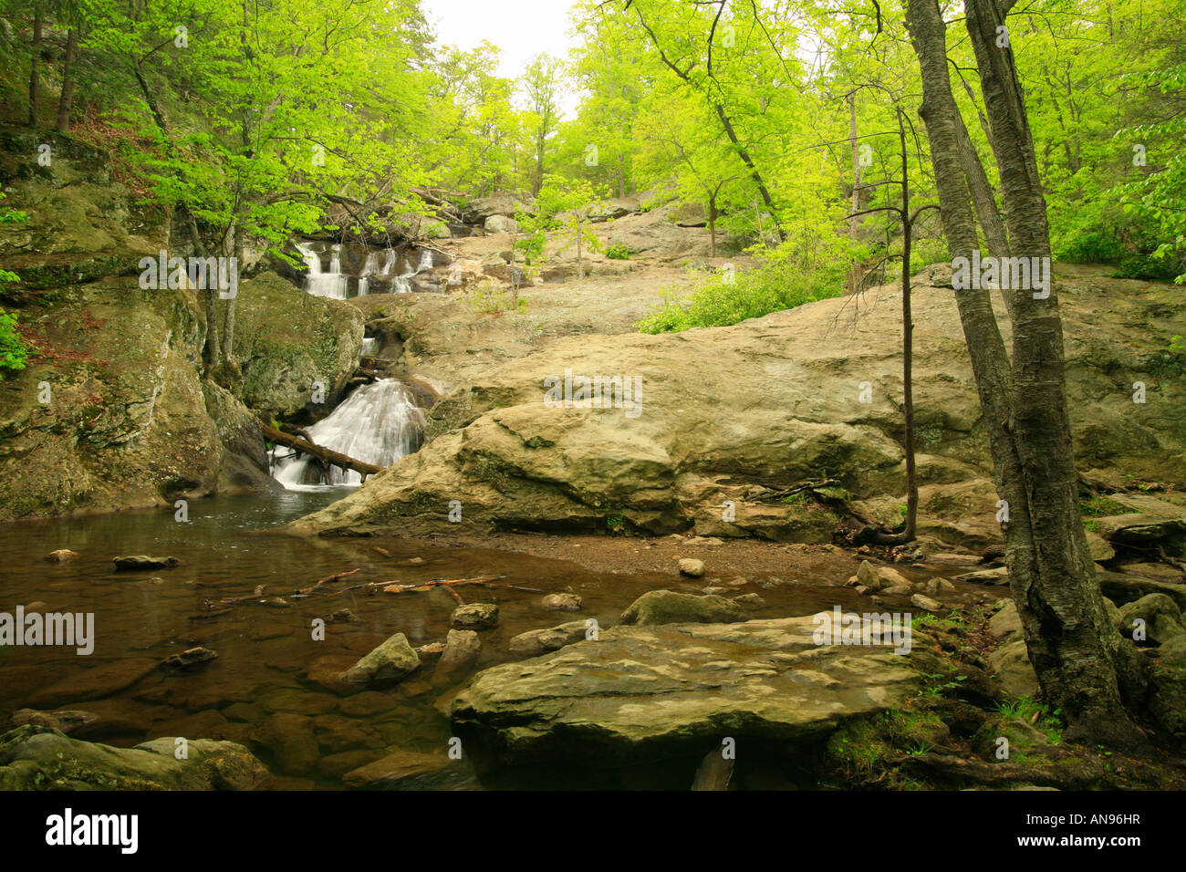Maryland's Hidden Gem: Cunningham Falls State Park - Where Nature's Beauty Meets Adventure