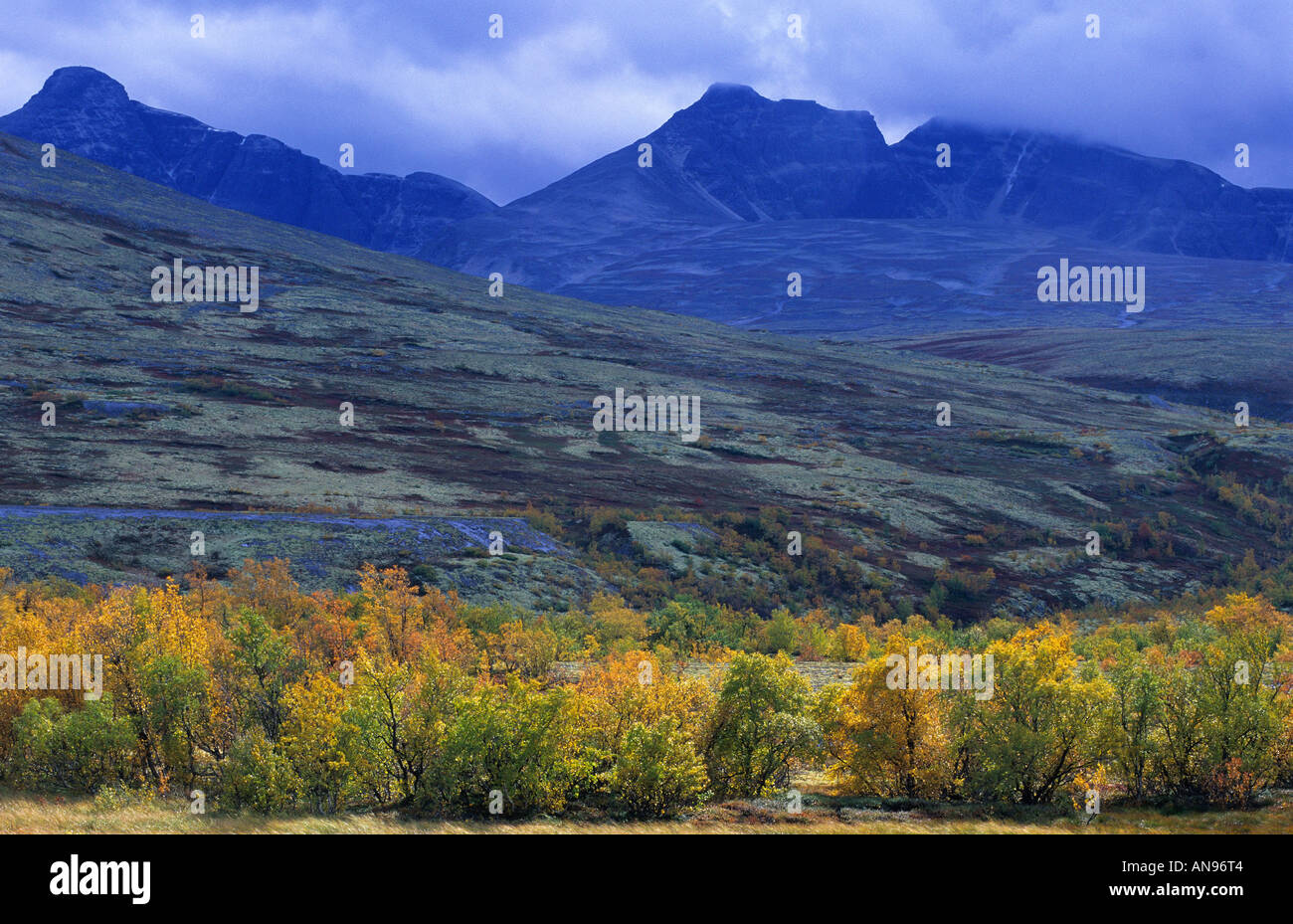 High Resolution Rondane Rondane Nationalpark High Resolution Stock Photography and Images - Alamy