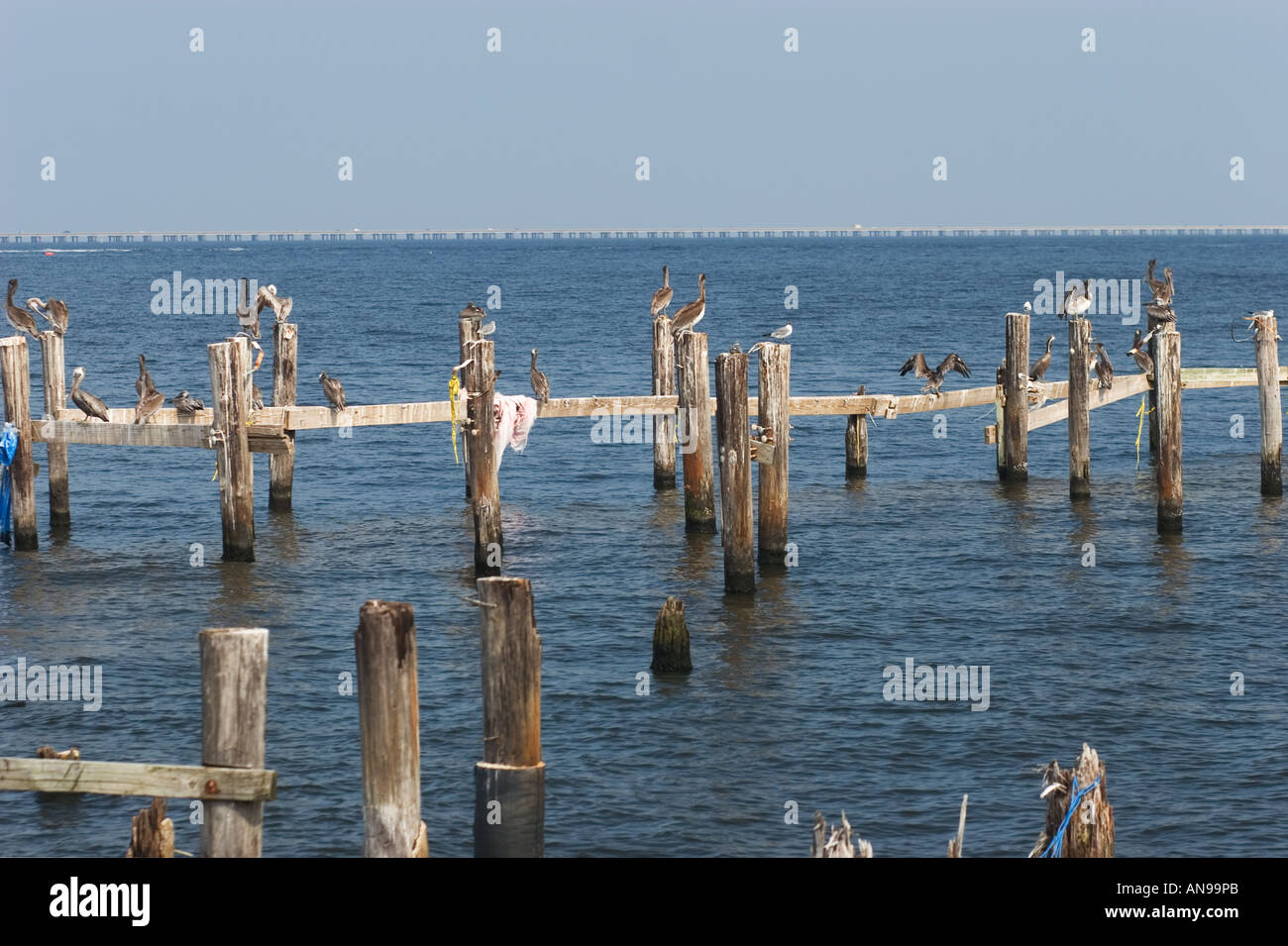 Pilings from a former lake-front restaurant in New Orleans, one year after hurricane Katrina. Stock Photo