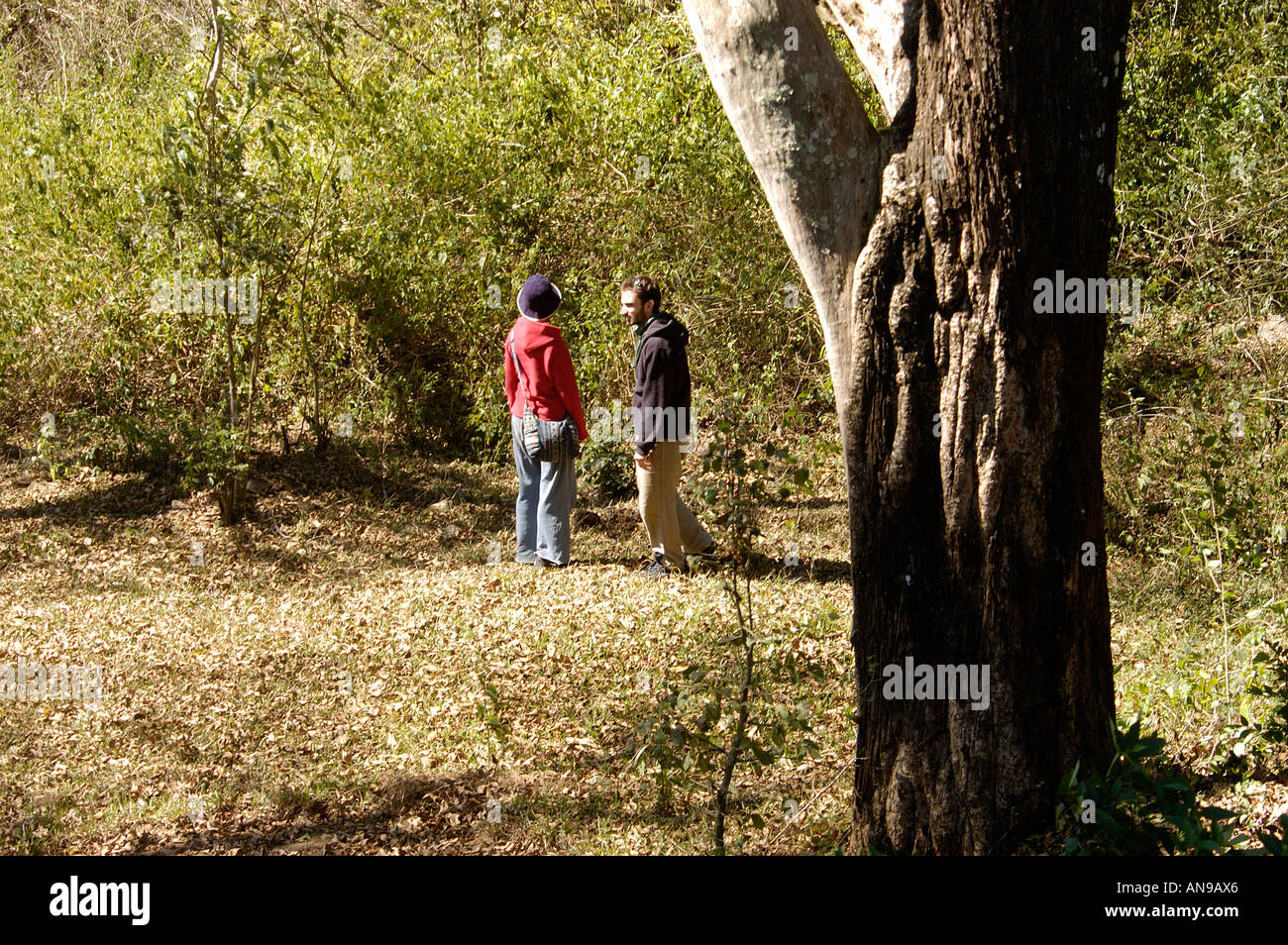 PERIYAR TIGER RESERVE, THEKKADY, IDUKKI DIST Stock Photo - Alamy
