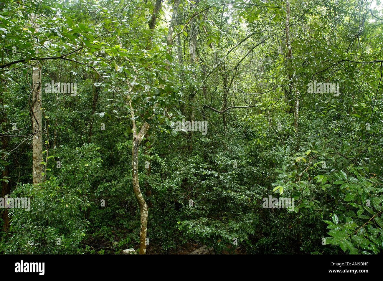 Thattekad bird sanctuary ernakulam dist hires stock photography and