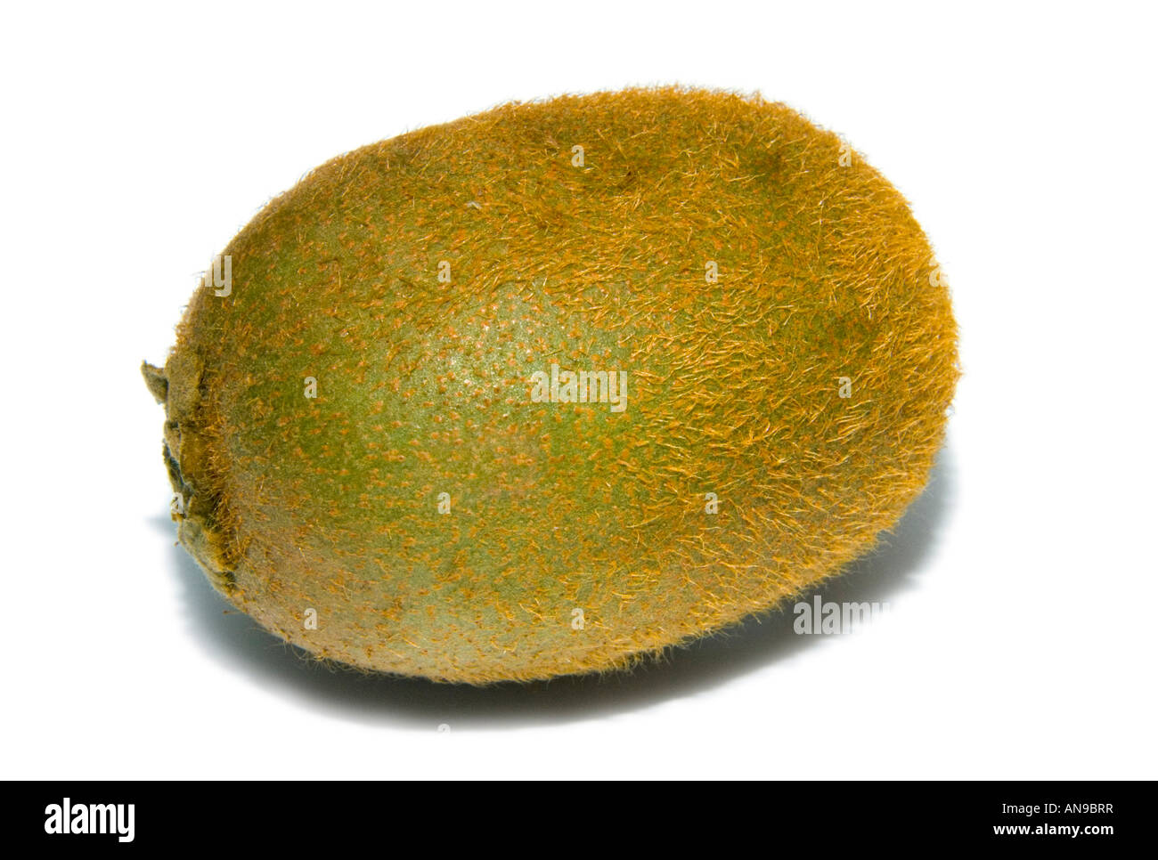 Kiwi fruit kiwifruit whole one single 1 cut out Stock Photo