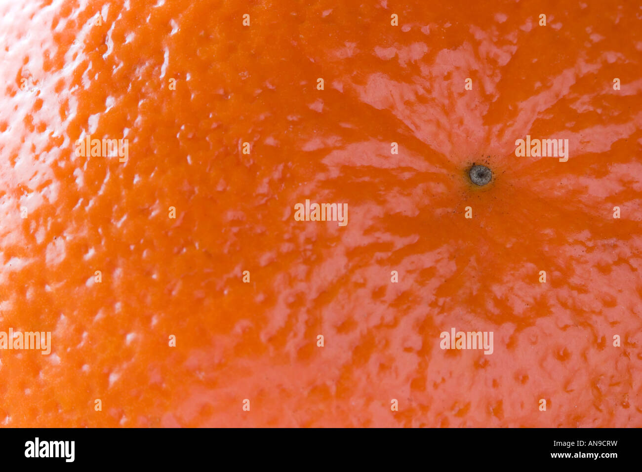 Close up orange tangerine hi-res stock photography and images - Alamy