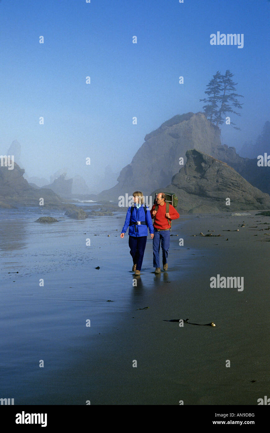 USA Washington Olympic National Park Shi Shi Beach Stock Photo - Alamy