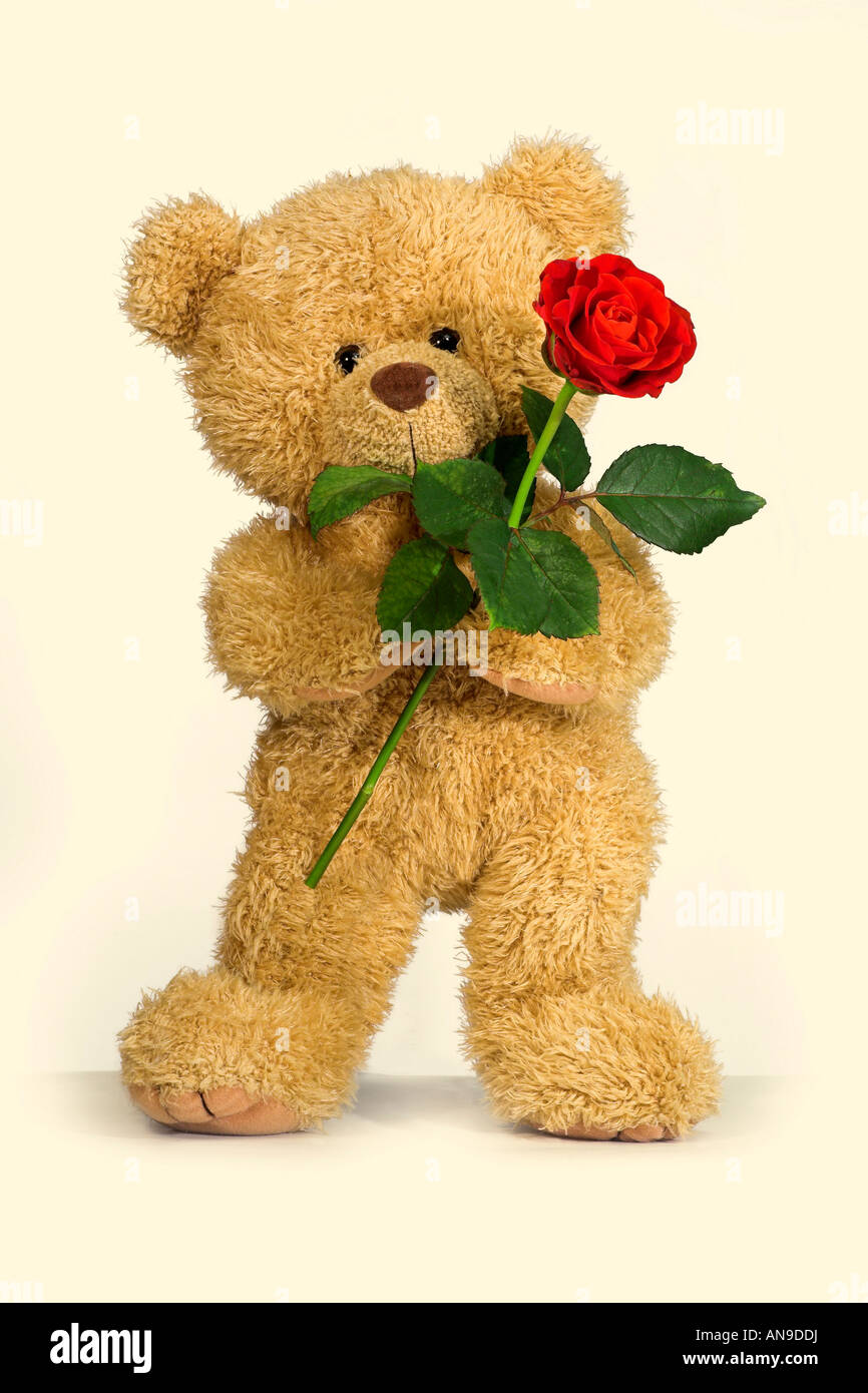 teddy bear with red rose Stock Photo - Alamy