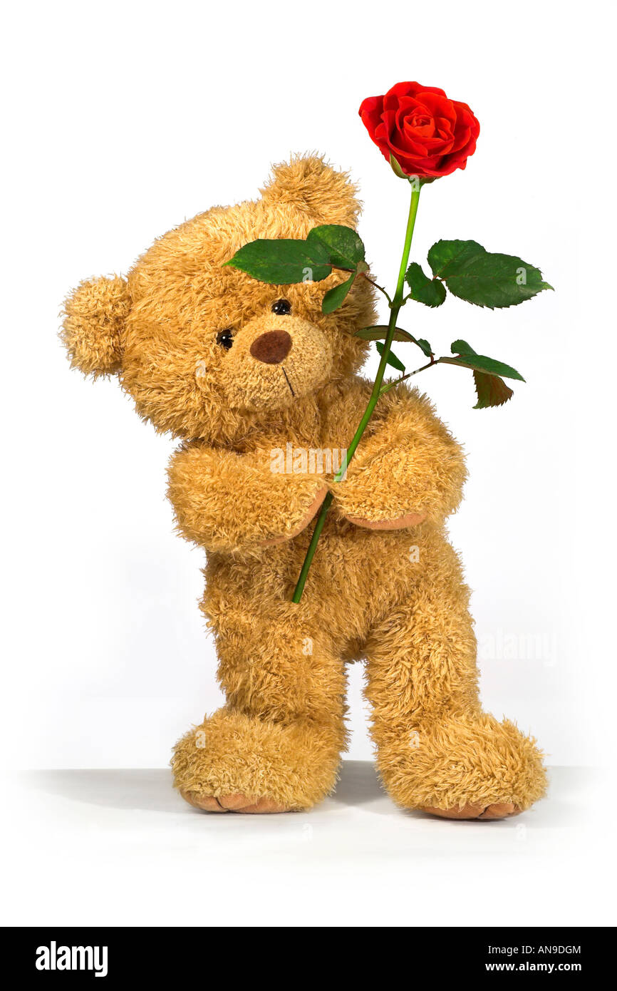 teddy bear with red rose Stock Photo - Alamy