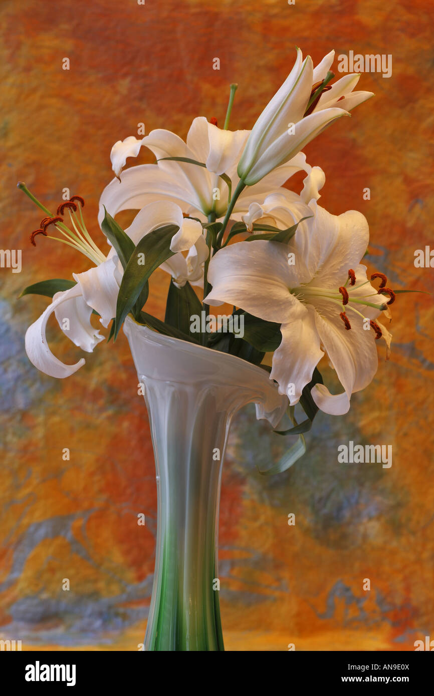 arrangement of lilies in vase Stock Photo Alamy