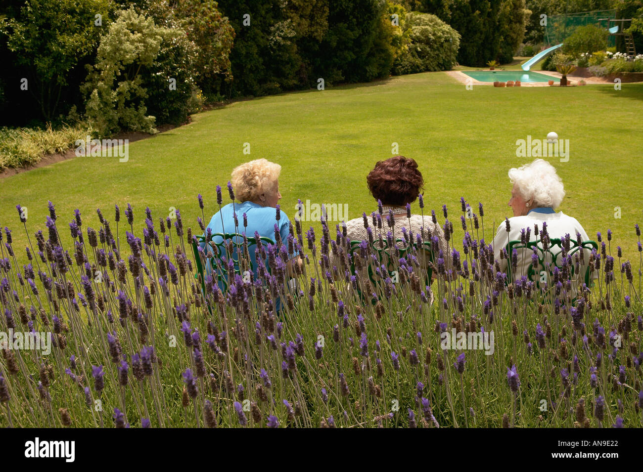 Senior women rear view hi-res stock photography and images - Alamy
