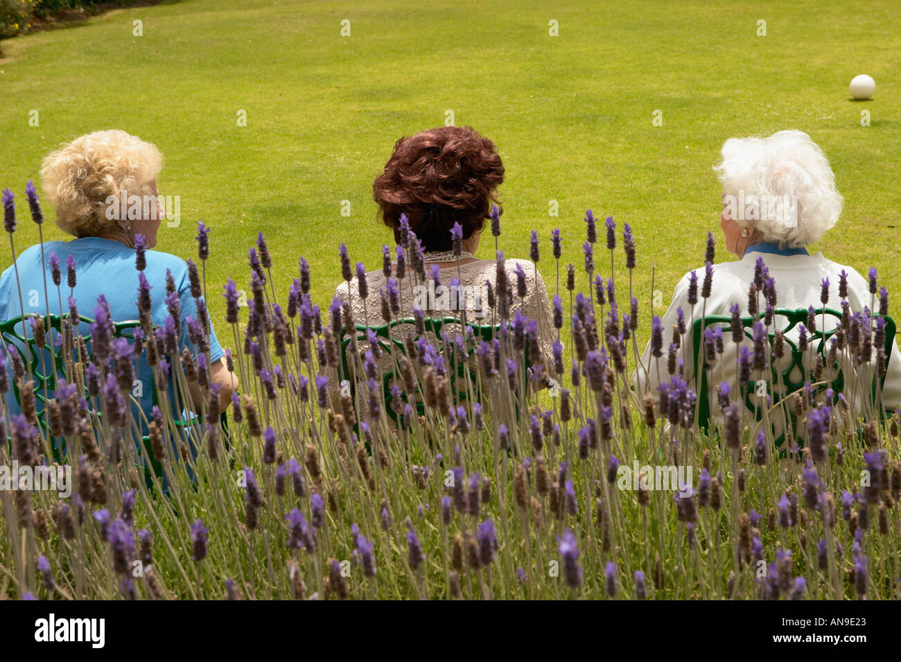 Senior women rear view hi-res stock photography and images - Alamy