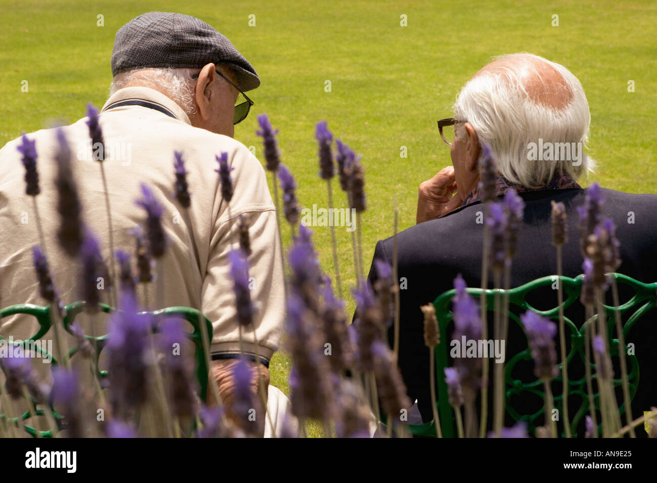 Old man sitting garden rear hi-res stock photography and images - Alamy