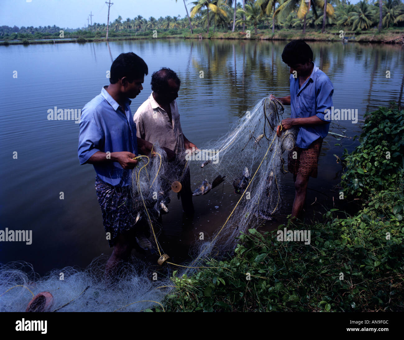 TRADITIONAL FISHING IN KUMBALANGI Stock Photo - Alamy