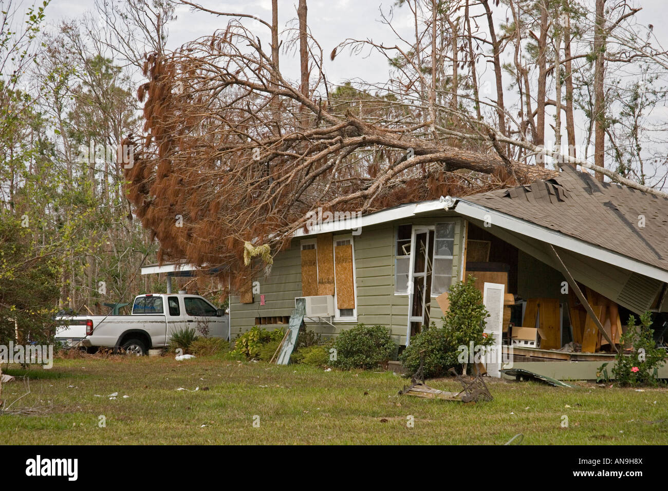 Tree damage caused by Hurricane Katrina Waveland Mississippi Stock