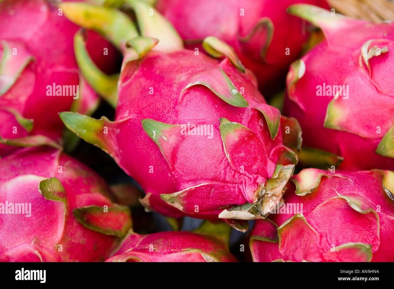 Pitaya fruits Bangkok Thailand Stock Photo