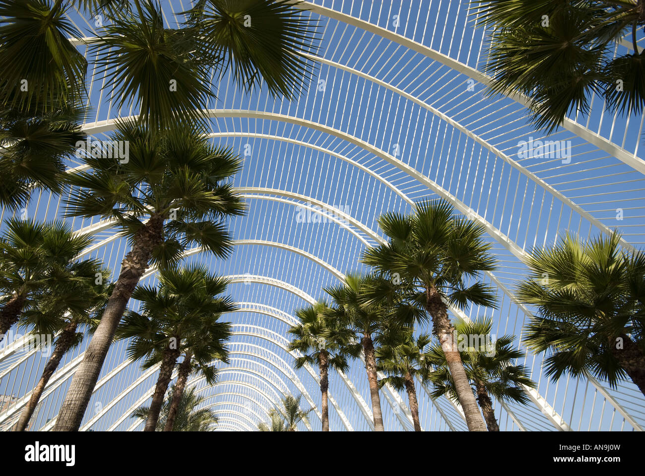 shade house garden, valencia, spain Stock Photo