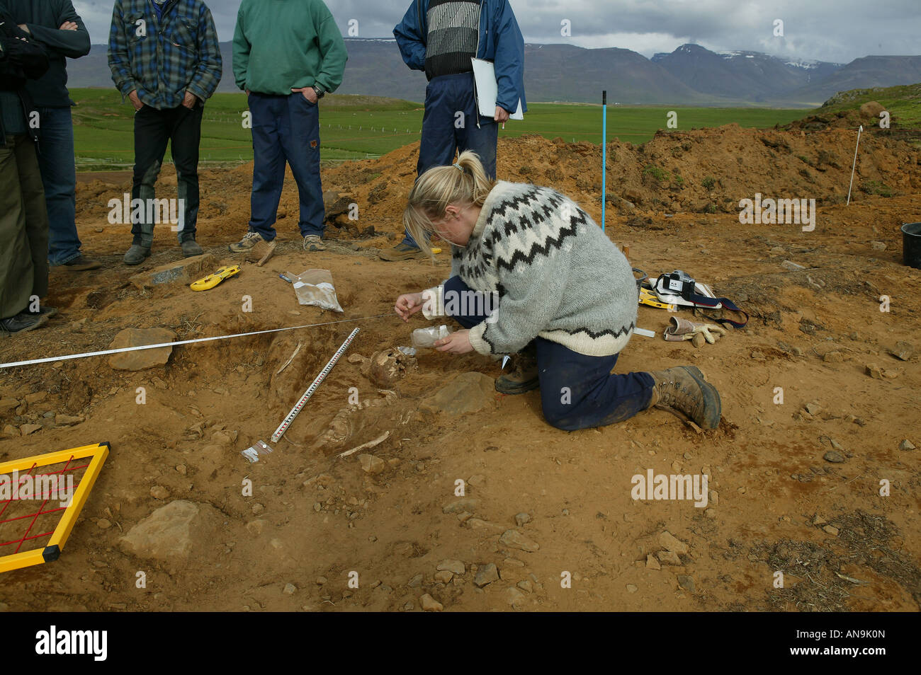 Archaeologist Uncovering Whale Bones Stock Photo