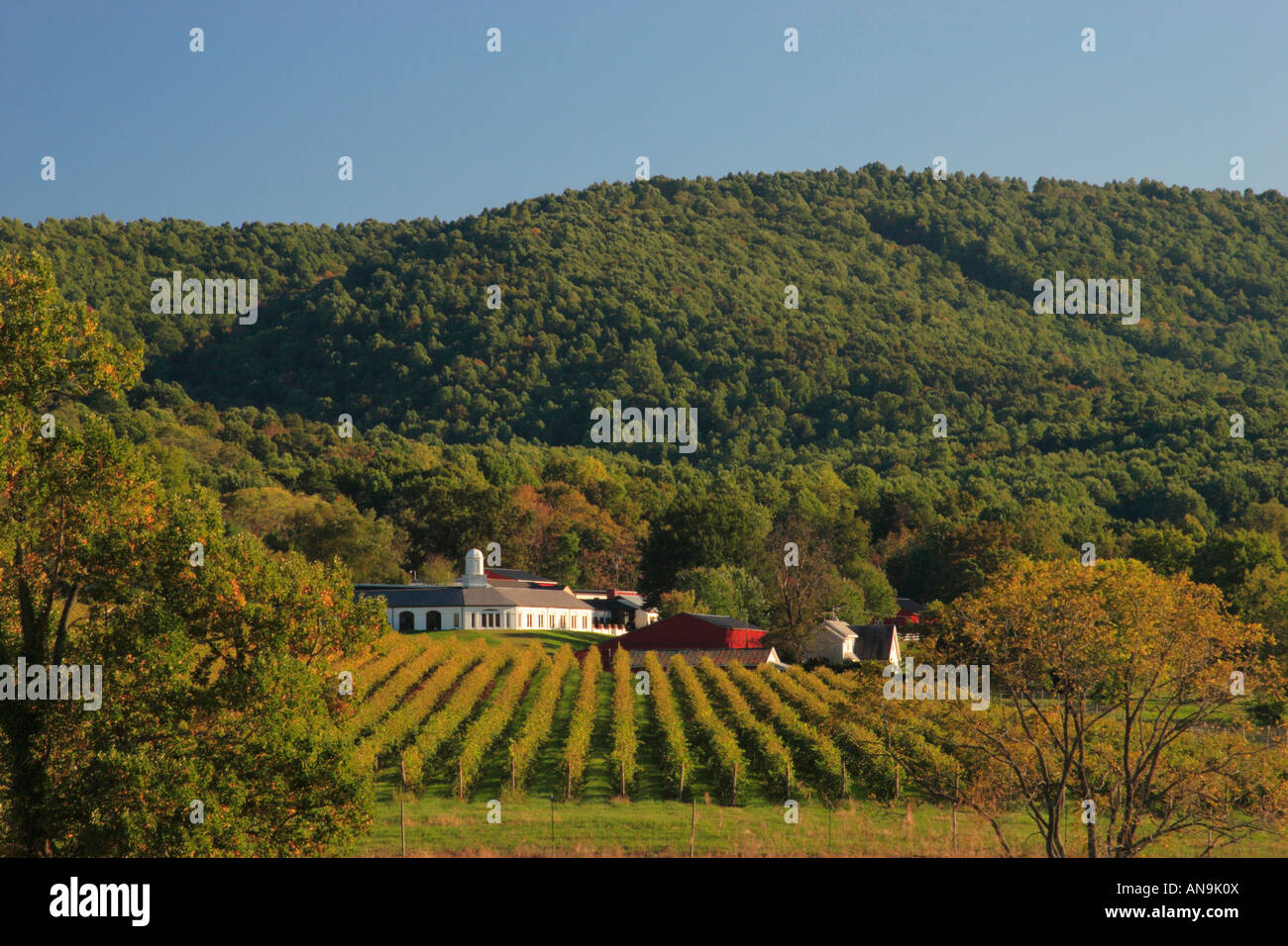Wine virginia barboursville hires stock photography and images Alamy
