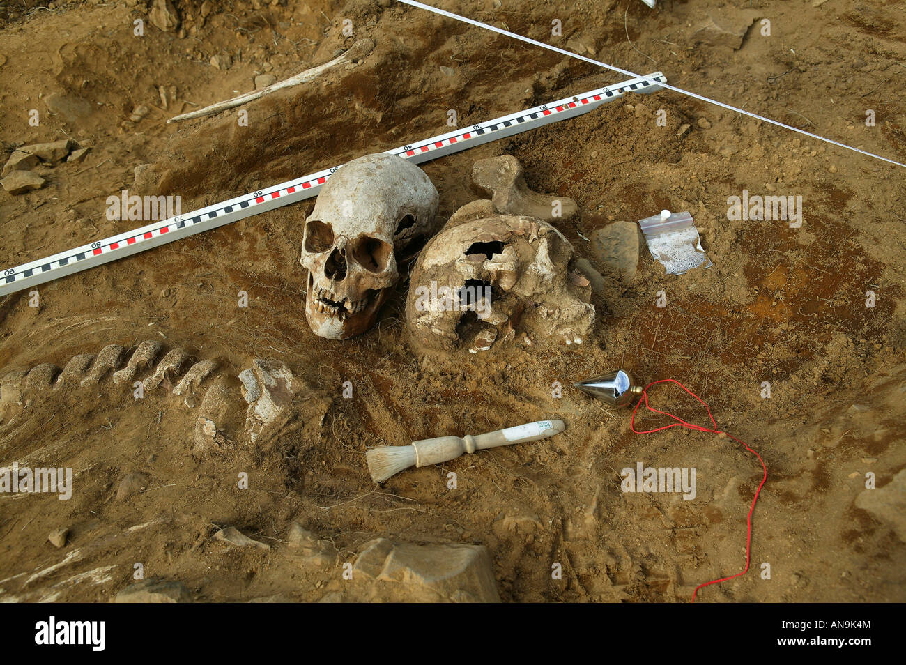 Viking Era Human Skeletal Remains at Archaeological Site Stock Photo