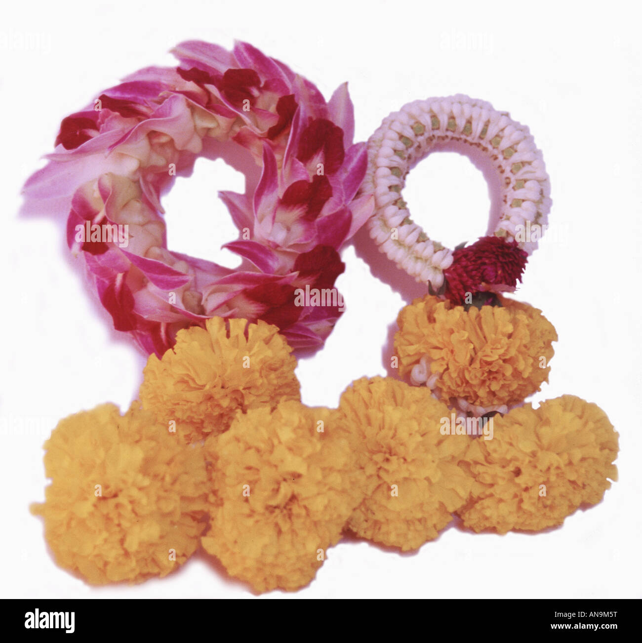 Floral garlands Cut Out Stock Images & Pictures - Alamy
