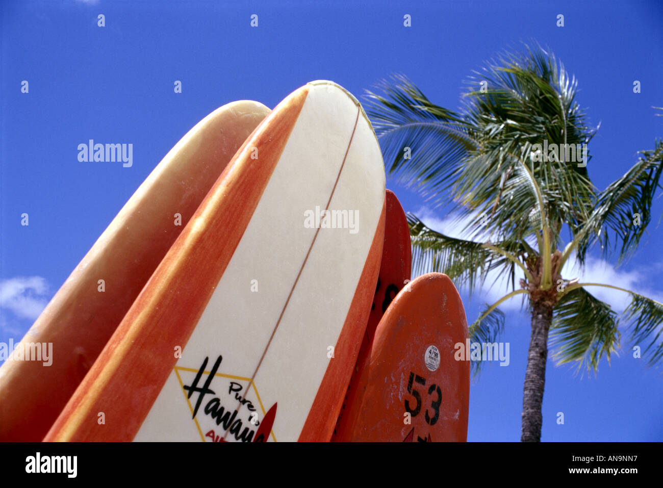 Board surfboards hi-res stock photography and images - Alamy