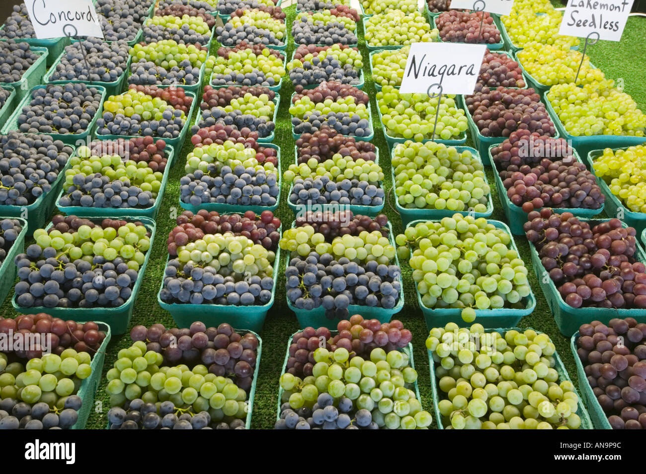 Grapes for sale at Josephs Wayside Market Naples grape pie capitol Finger Lakes New York Stock