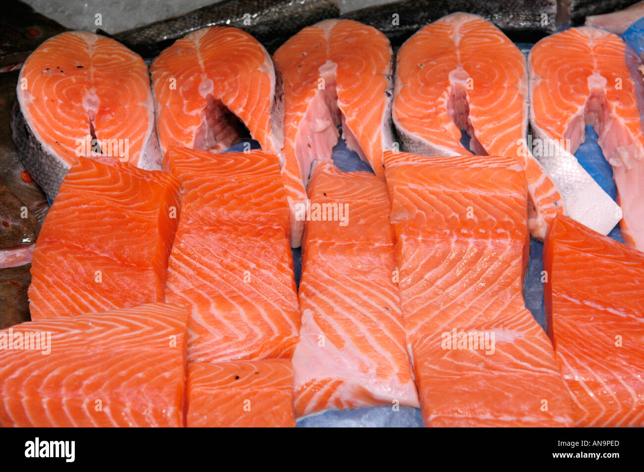 Salmon fillets for sale on fishmongers stall in Swansea Market South