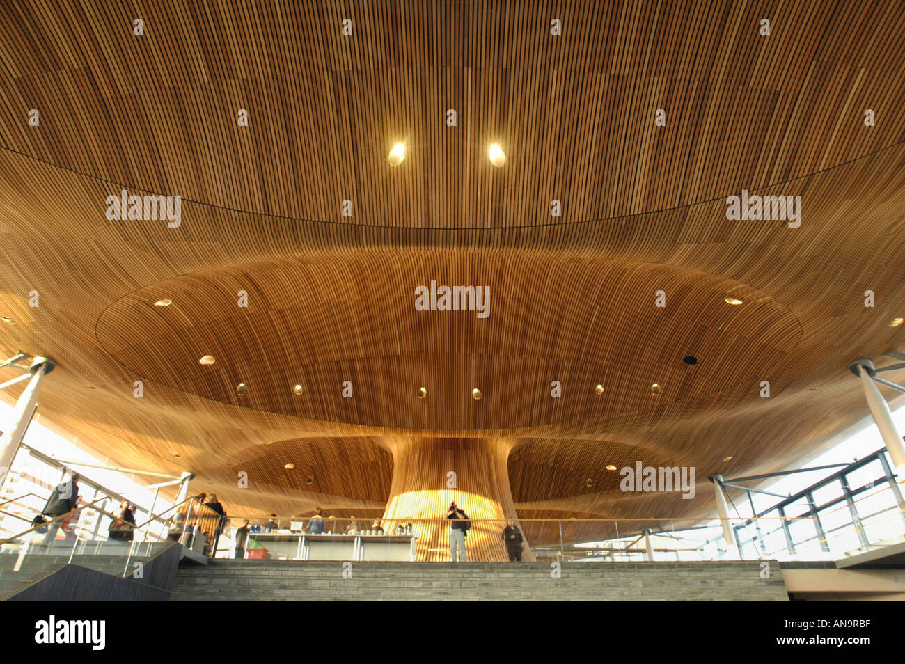 Interior Of National Assembly For Wales Showing Timber Cladding
