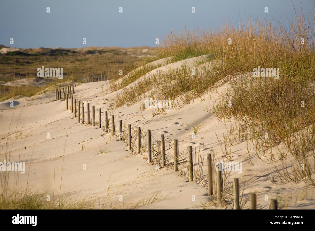 Sand dunes in Anastasia State Park on the Atlantic Ocean in St