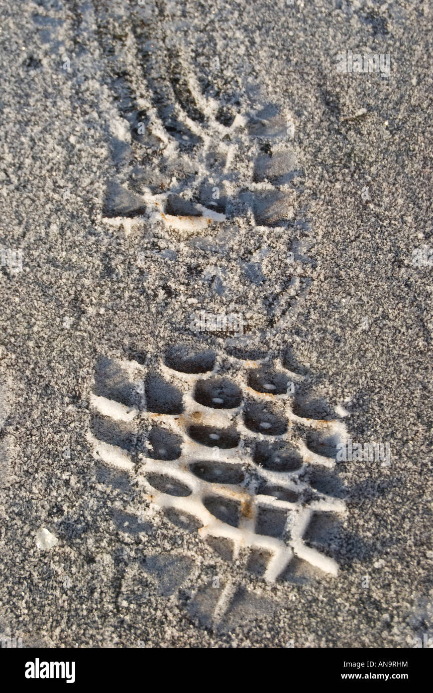 Frozen footprint Stock Photo