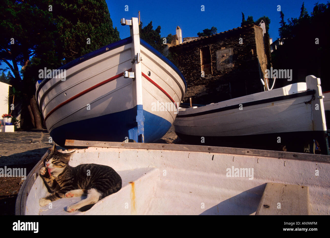 Cat on boat at Portlligat cove. Girona province. Spain Stock Photo