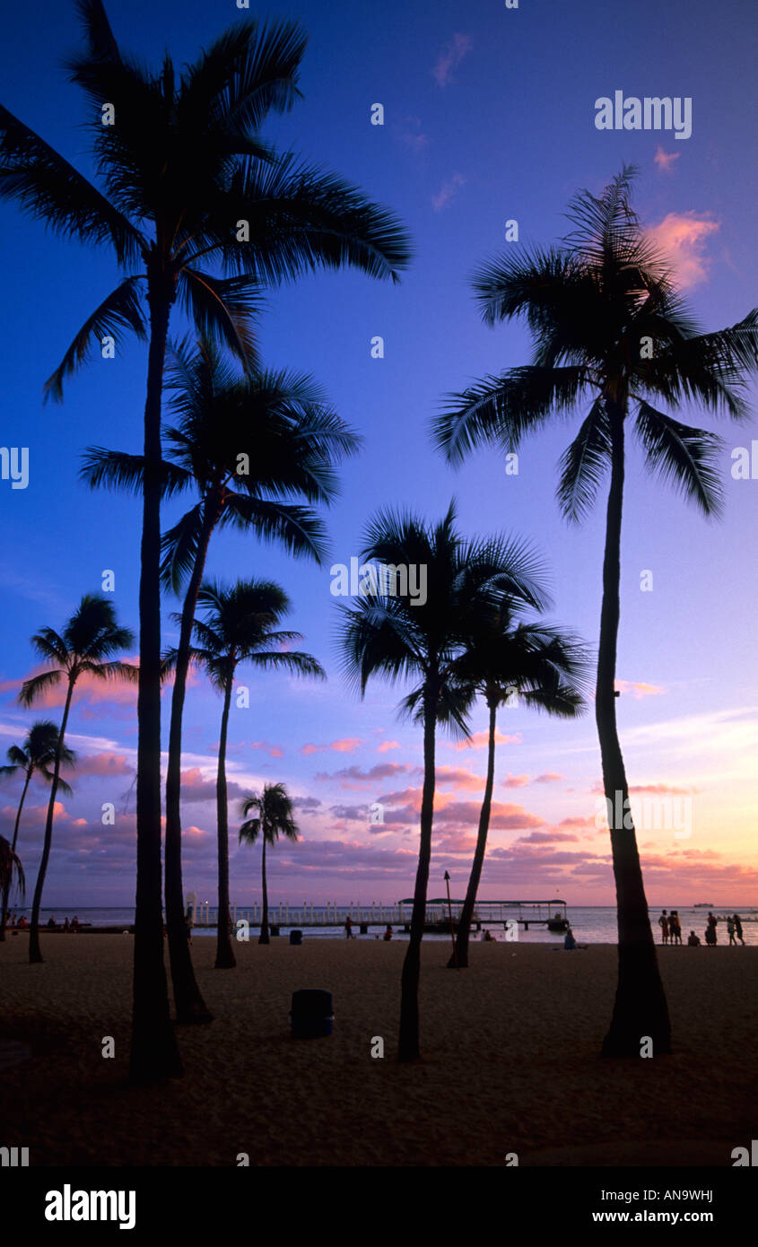 Sunset with coconut palm trees hi-res stock photography and images - Alamy